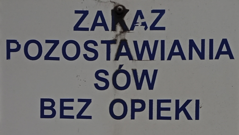 IMAGE ZAKAZ